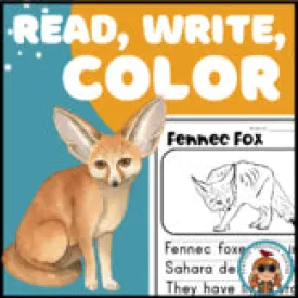 Fennec Fox Read Write Color