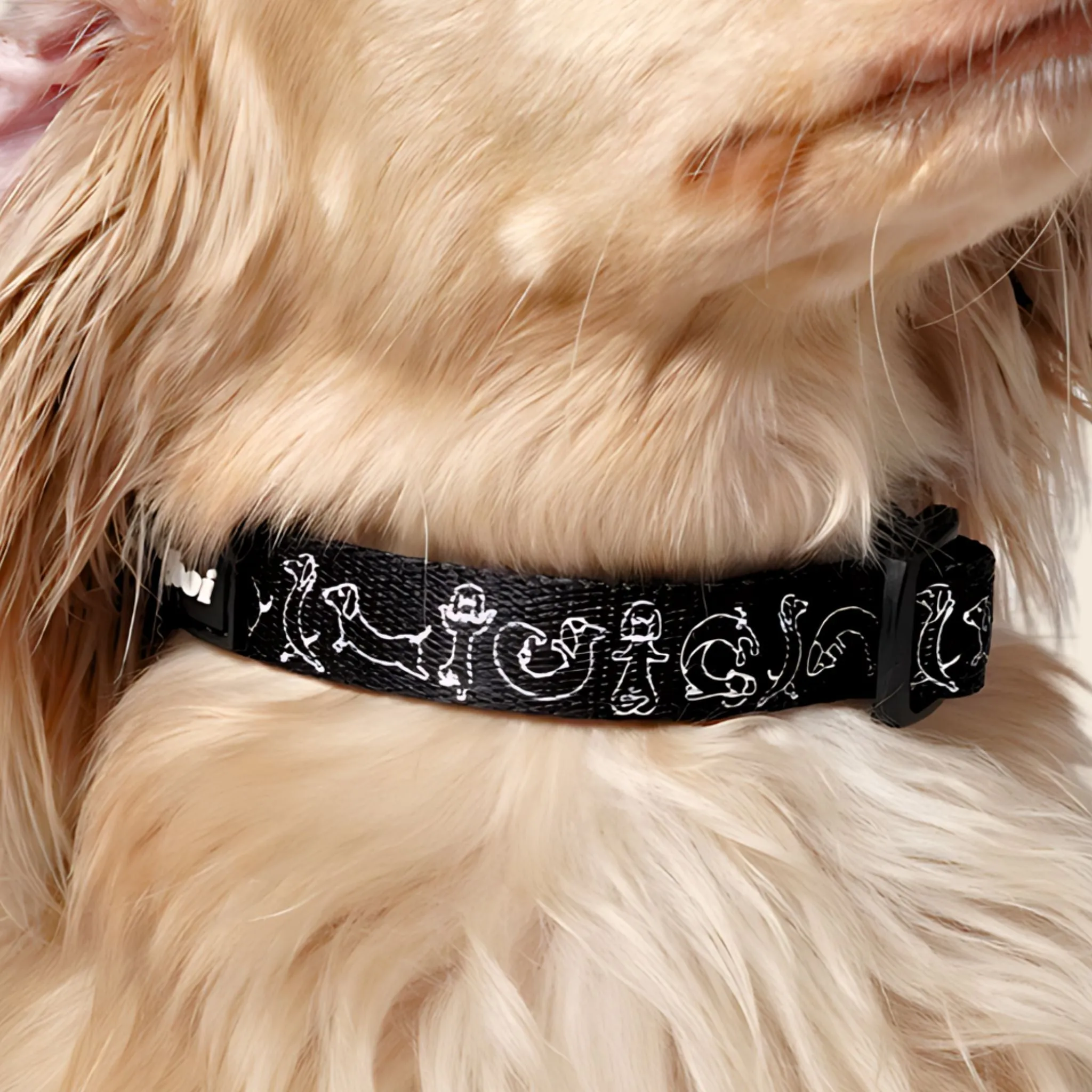 Printed Collar