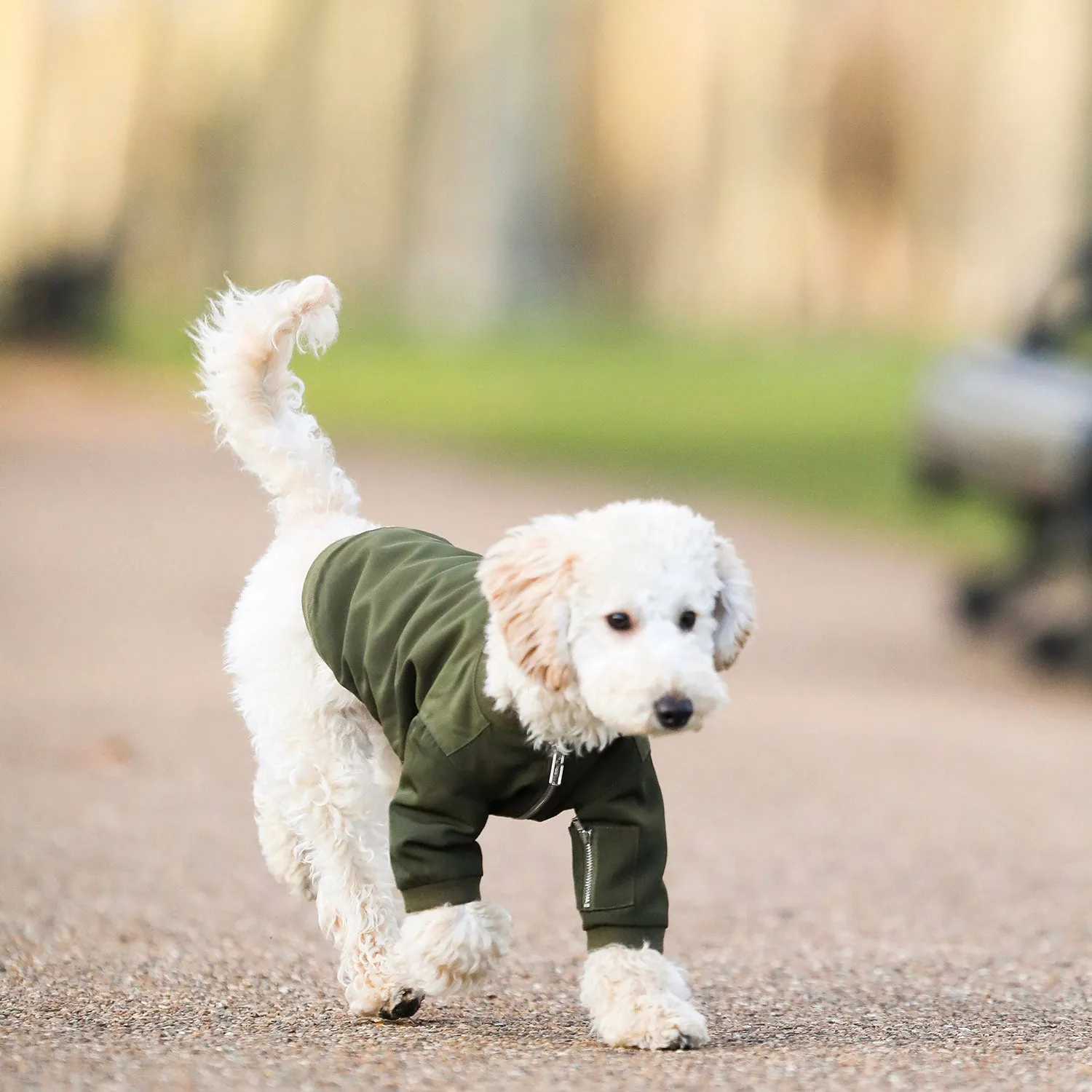 Zipped Bomber Jacket (Green)